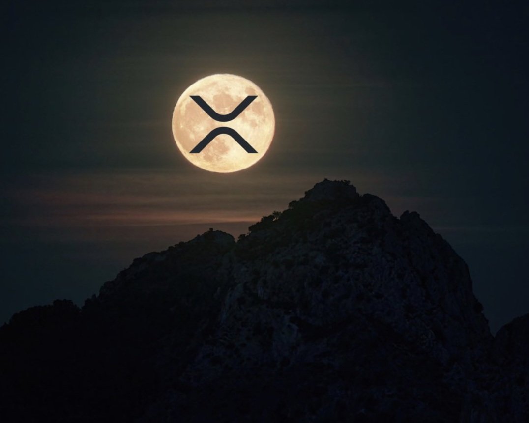 RippleXrpie's tweet image. Just leave a like if you hold #XRP!
