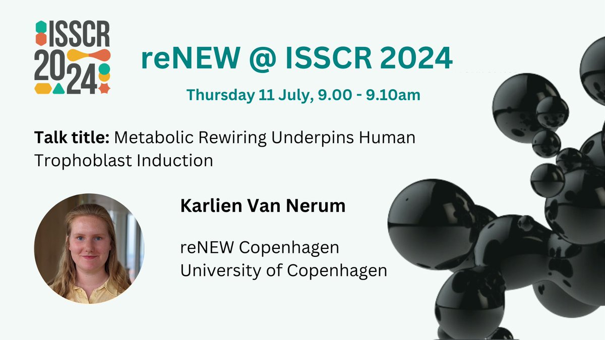 reNEW (@renew_global) on Twitter photo Don't miss <a href="/KarlienVN/">Karlien Van Nerum</a>, #reNEW Copenhagen <a href="/UCPH_Research/">University of Copenhagen Research</a>, who will be presenting in the #ISSCR2024 Concurrent Session 'Integrated Stem Cell Models of Early Embryo Development', on Thurs 11 July 8.15am - 9.45am CEST in Hall 4, Entrance Level Don't miss <a href="/KarlienVN/">Karlien Van Nerum</a>, #reNEW Copenhagen <a href="/UCPH_Research/">University of Copenhagen Research</a>, who will be presenting in the #ISSCR2024 Concurrent Session 'Integrated Stem Cell Models of Early Embryo Development', on Thurs 11 July 8.15am - 9.45am CEST in Hall 4, Entrance Level