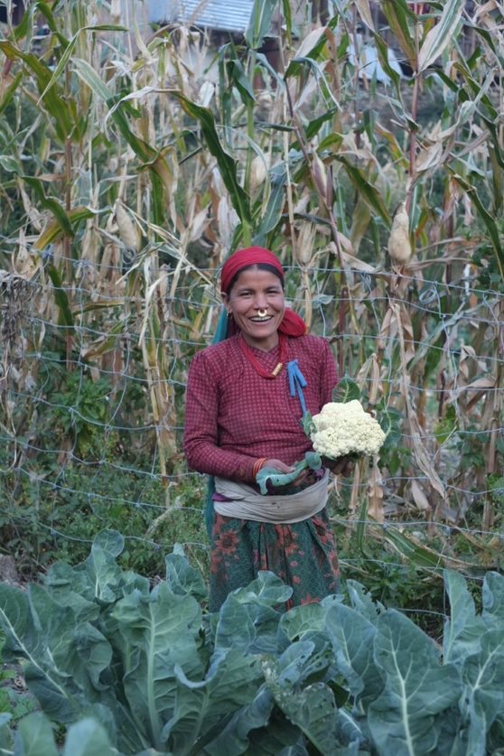 Mother of two Shantikala was supported to grow her own food for her family by #PhaseWorldwide.

With a polytunnel and seeds, she was able to grow nutritionally-dense foods; and offer her family a diverse diet.