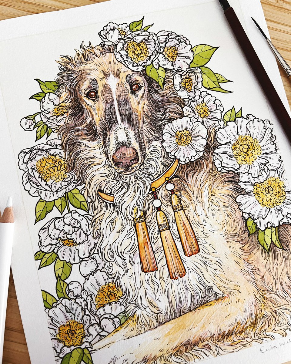 「Pet portrait of a sweet pup named Dune. 」|HookieDukeのイラスト