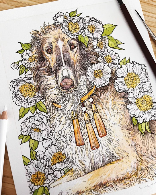 Pet portrait of a sweet pup named Dune.  