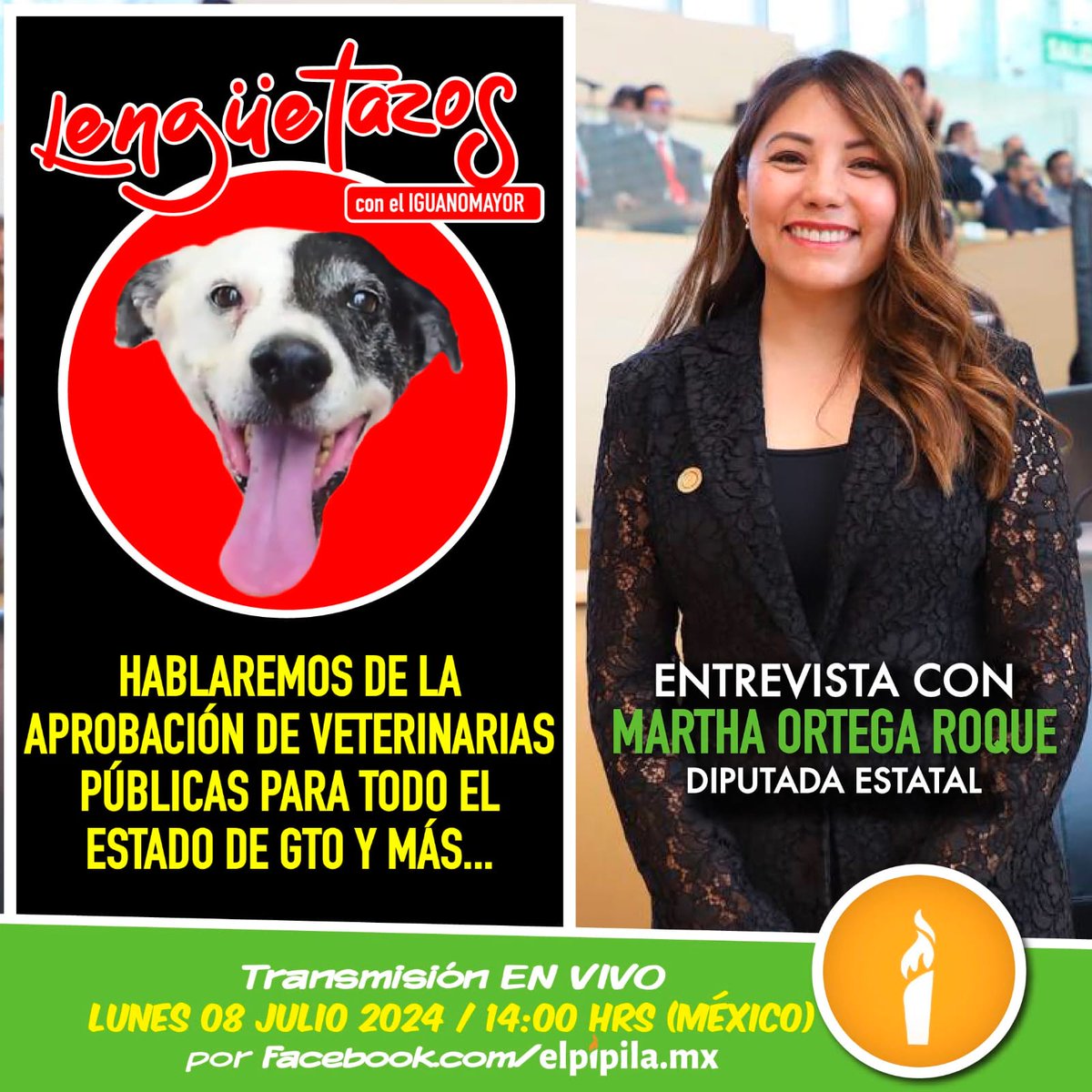 Hoy en #Lengüetazos estará la diputada <a href="/marthaortegamx/">Martha Ortega Roque</a> y nos contará todo sobre esta aprobación de reforma que se hizo y que va en pro del #BienestarAnimal de nuestro estado de Guanajuato.

Chequen el fb de <a href="/elpipila_mx/">ElPipila</a>
¡Esto se pondrá chido!

#EnManadaTodoEsMejor