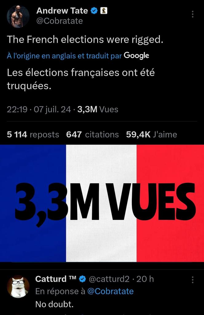 MagLiber3's tweet photo. Tous les patriotes US dénoncent la Fraude électorale #législatives 🇫🇷 https://t.co/VPzrgqmm9c