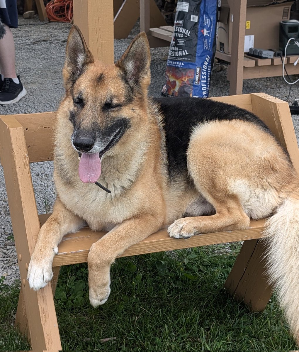 PuppyBearChubby's tweet image. Hihi ❤️🔥💖😊🥴😏