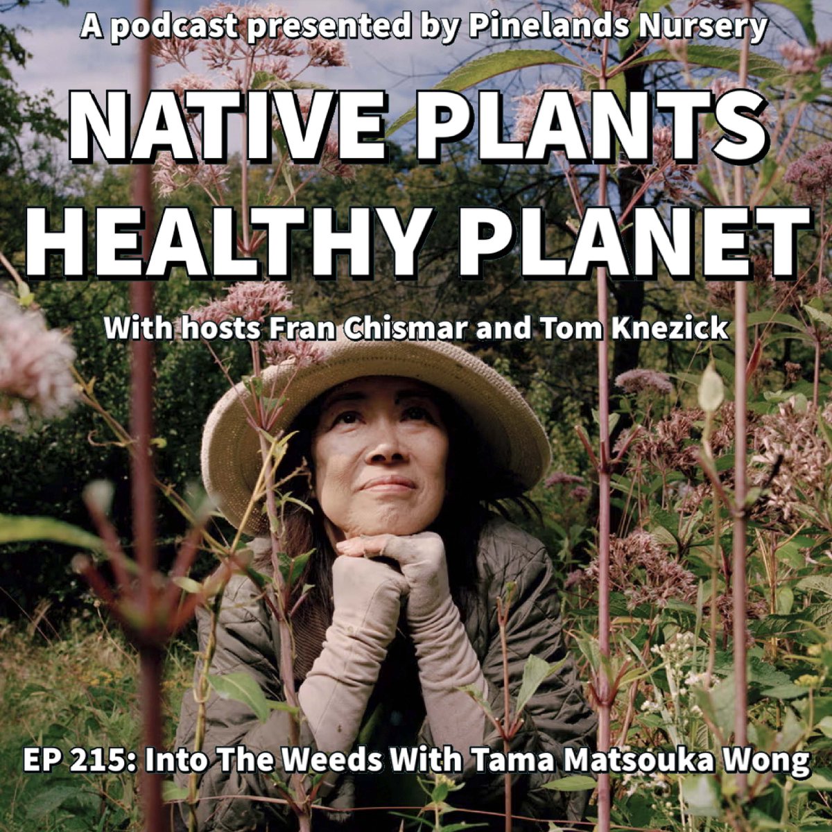 Pinelands Nursery tweet media