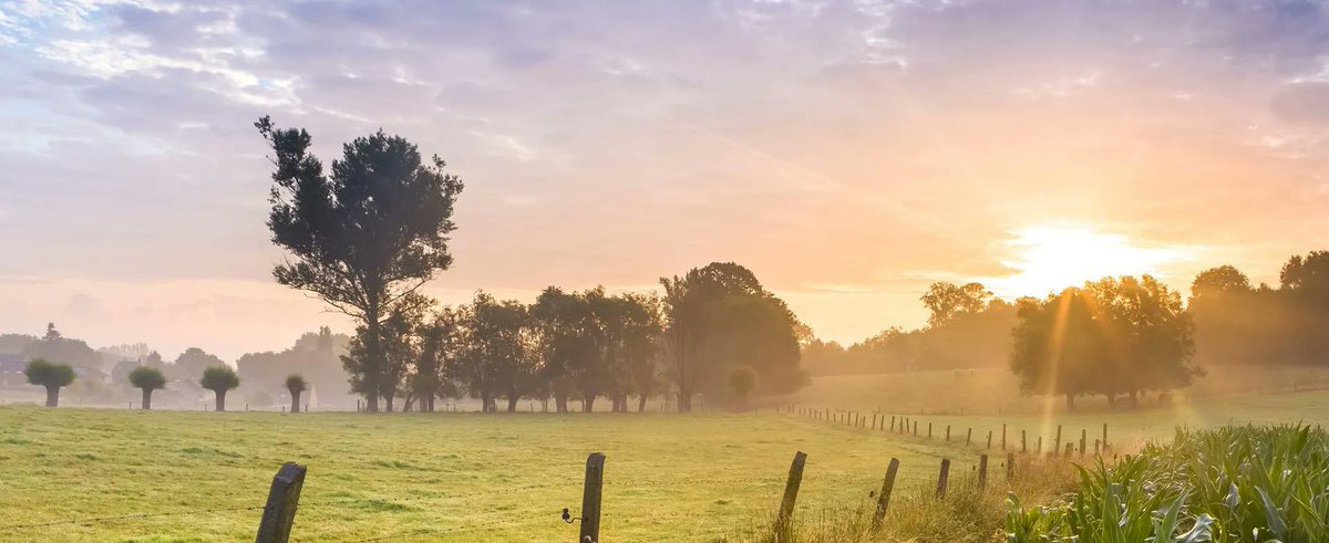 "The government must put nature at the heart of planning reforms. If they do, we can ensure nature’s recovery and the achievement of Net Zero at the same time as building homes and delivering renewable energy."

<a href="/Natures_Voice/">RSPB</a>'s top five action points

bit.ly/3LcdhTj