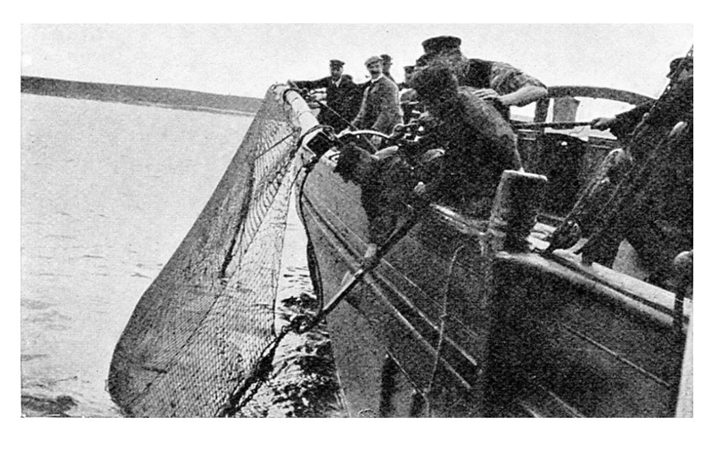 Georgina Hunt (@georgina_hunt) on Twitter photo 🚨New paper!🚨
We reconstructed a late 19th century beam trawl from historical North Sea scientific fishery investigations and document the process by each gear component 🐟🎣
<a href="/newcastlemarine/">NCL Marine</a> <a href="/UoABioSci/">School of Biological Sciences</a> <a href="/CefasGovUK/">Cefas</a>
#OpenAccess in #MaritimeStudies
link.springer.com/article/10.100… 🚨New paper!🚨
We reconstructed a late 19th century beam trawl from historical North Sea scientific fishery investigations and document the process by each gear component 🐟🎣
<a href="/newcastlemarine/">NCL Marine</a> <a href="/UoABioSci/">School of Biological Sciences</a> <a href="/CefasGovUK/">Cefas</a>
#OpenAccess in #MaritimeStudies
link.springer.com/article/10.100…