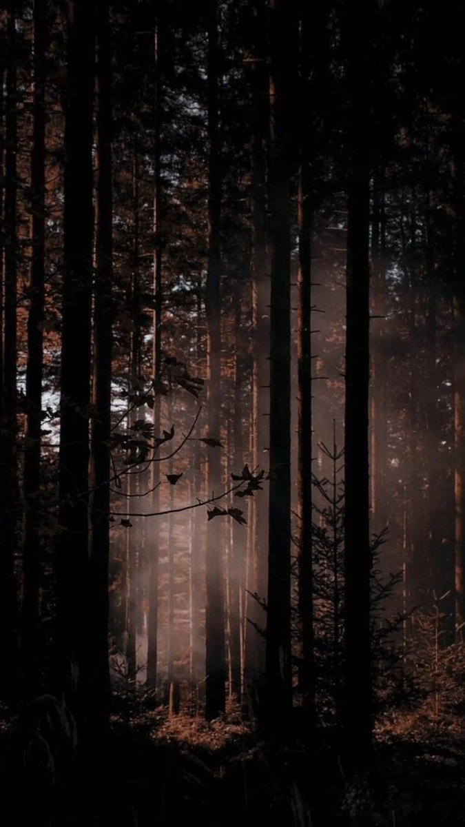 arksremnant's tweet image. “You have only seen the least of what I can do.”

🌑grouchy 

🌑irritable 

🌑slightly hostile

🌑distant