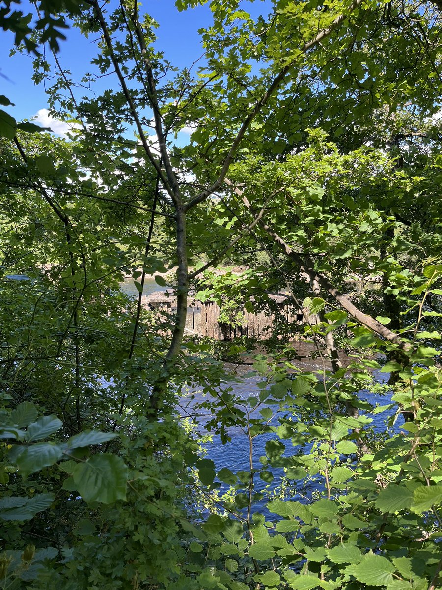 RuncieOf's tweet photo. We walked down the North Tyne and up the South Tyne today! Our legs are tired but we’ve had a brilliant day! 😎☀️ #ARFSgeography https://t.co/tJF65ukYsa