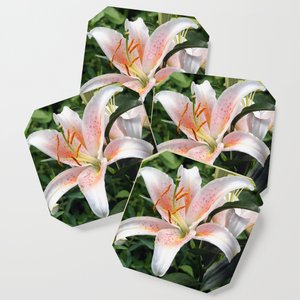 TaicheTees's tweet photo. Oriental Hybrid #Lily White, Peach and Pink #AcrylicBox #taiche #Society6 #taiche #society6 #taiche #lily #lilies #lilium #flora #botanical #orangeflower #orangelily #garden #orangeflowers #gardeners #florists #horticulturists #maybirthflower #birthflower https://t.co/RuCBEKRUv5 https://t.co/WqqjH5ryMx
