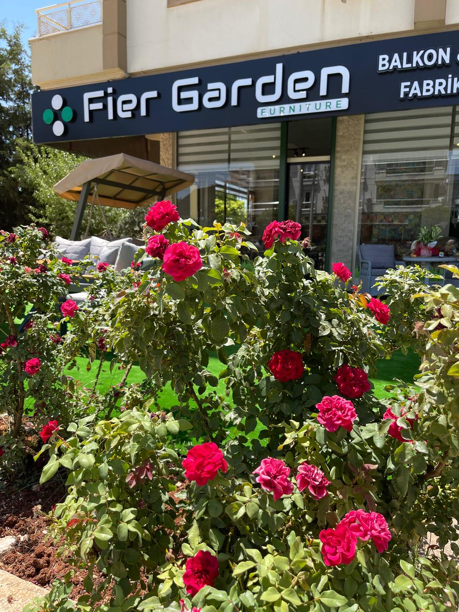 fiergarden's tweet photo. #BalkonMobilyaları
#BalkonDekorasyonu
#BalkonKeyfi
#BalkonSeti
#BalkonMasası
#BalkonKoltuk
#BalkonSandalyesi
#BalkonDekoru
#BalkonÇiçekleri
#BalkonAksesuarları https://t.co/4fzkaJGVRE