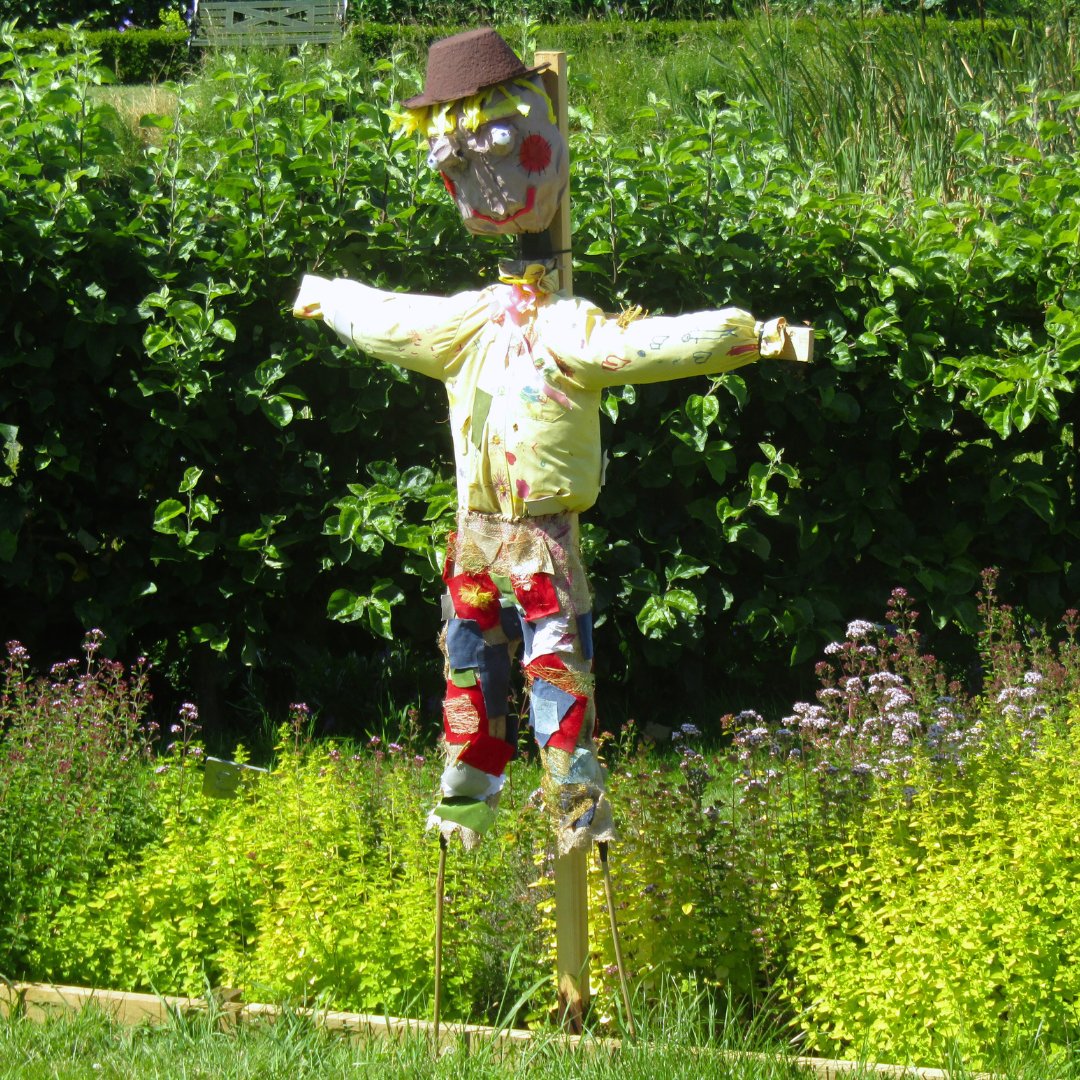 CoopersaleHSch's tweet photo. Our Reception classes have combined their talents to create two scarecrows for the Copped Hall Scarecrow Competition! 

We're excited to see them judged by visitors to the walled garden, with results coming in October. 🤞

#CoopersaleHallSchool #CoppedHall #OakTreeSchools https://t.co/WgPlXBTUak