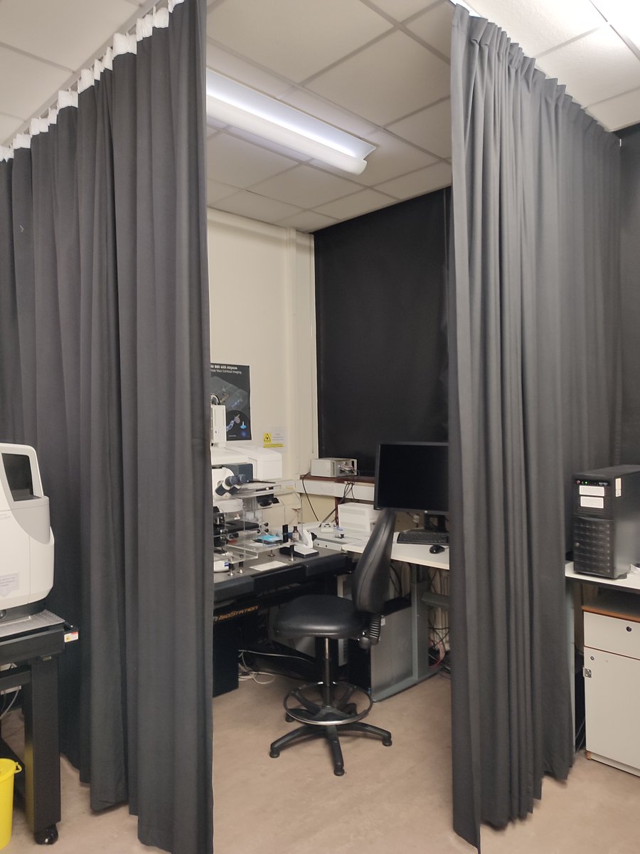 Repairing the black out curtains in the confocal suite. £2000 for replacement curtains versus £1 for Wonder Web plus a generous dollop of elbow grease. Hmmm, let me think. #ironman