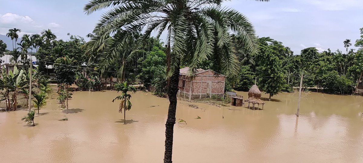 dr_ronghang's tweet photo. Assam is sinking,  the nature called is very drastic. Climate change has impacted both the earth and the human.

Traced between Guwahati to Jamunamukh, #Assamese are crying because of ours actions from past 

Can we do anything?? for these displaced people from floods. https://t.co/5NhKCMNWIf
