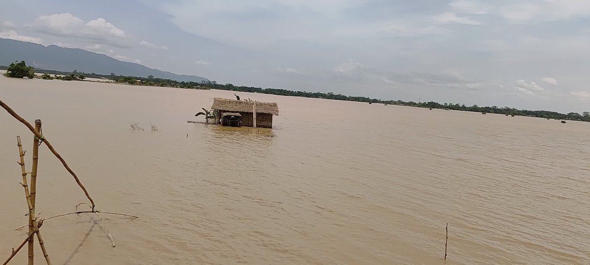 dr_ronghang's tweet photo. Assam is sinking,  the nature called is very drastic. Climate change has impacted both the earth and the human.

Traced between Guwahati to Jamunamukh, #Assamese are crying because of ours actions from past 

Can we do anything?? for these displaced people from floods. https://t.co/5NhKCMNWIf