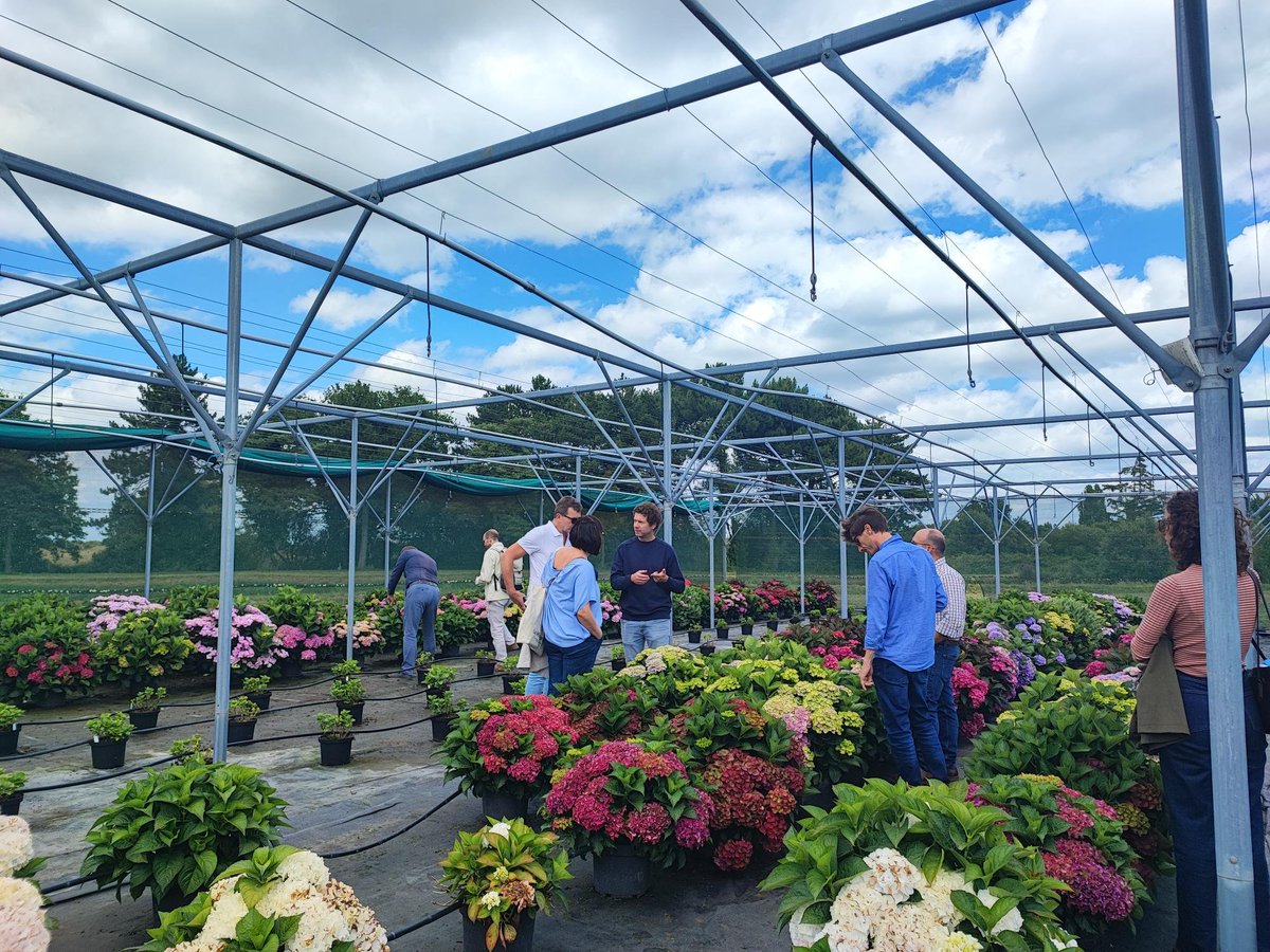 Manon_agri's tweet image. 🌱Day 1 : After a productive informal meeting, we visited Hortensia France, largest producer of half-grown hortensias supplying growers across Europe.
We learned how the technical institute @astredhor was helping companies meet technical, economic, and environmental challenges.