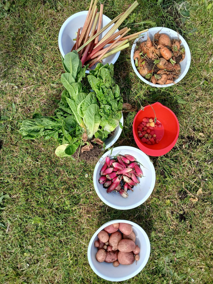 Fiona Cox Winchelsea tweet media