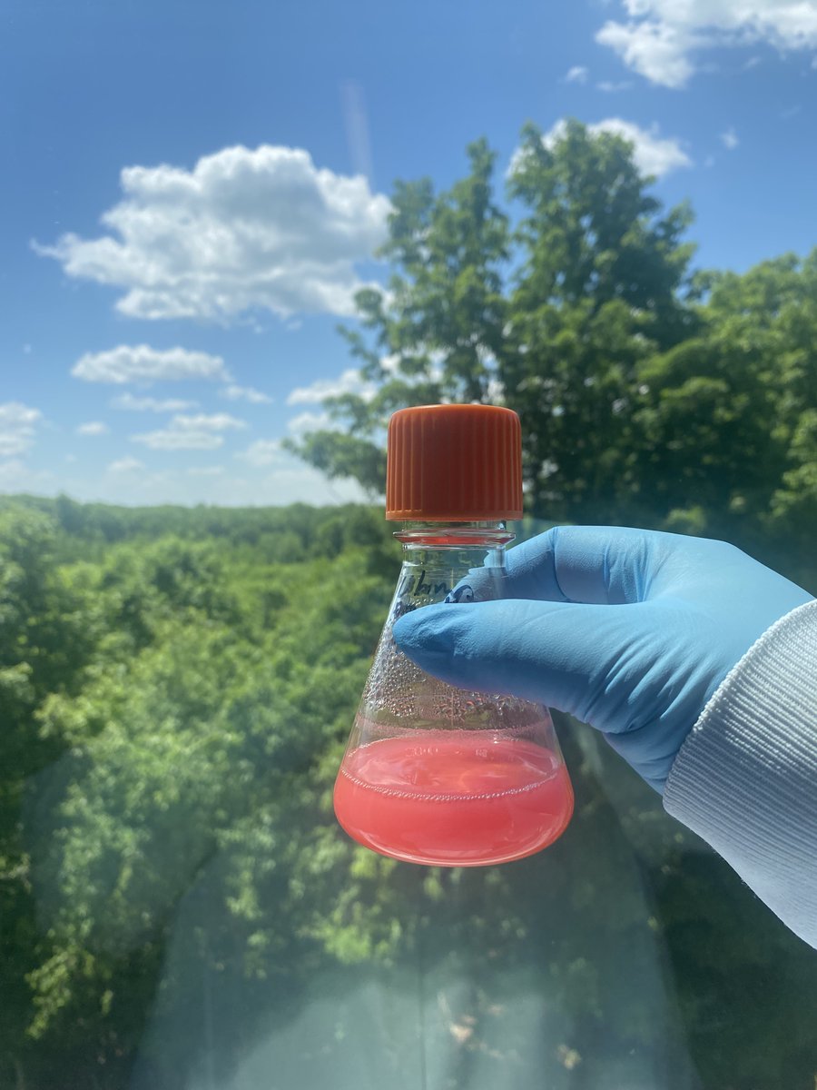 ABE Massachusetts tweet media