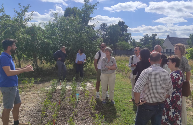 Manon_agri's tweet image. 🌱Day 1 : After a productive informal meeting, we visited Hortensia France, largest producer of half-grown hortensias supplying growers across Europe.
We learned how the technical institute @astredhor was helping companies meet technical, economic, and environmental challenges.
