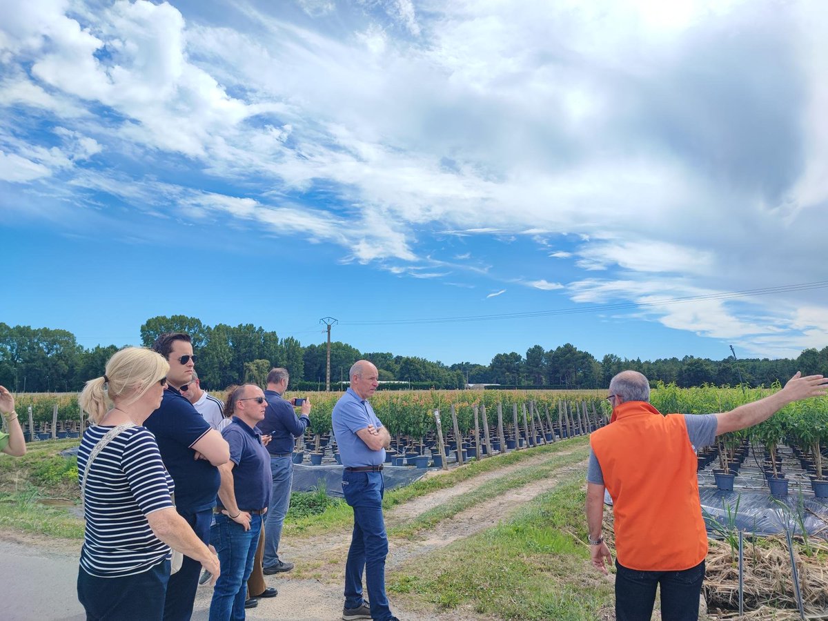 Manon_agri's tweet image. 🌼Day 2: we visited Turcieflor, our favourite WP expert's company Mark, where we saw stunning #Agapanthus. To wrap up, Hortival, a Europe leader in plants and young plants production, shared insights on managing water shortages in its production of fruit trees and shrubs.