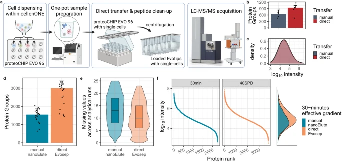 Automated single-cell proteomics providing sufficient proteome depth to study complex biology beyond cell type classifications nature.com/articles/s4146…

---
#proteomics #prot-paper