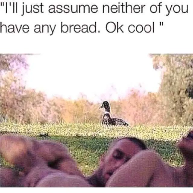 Let's be real, British ducks would hop over them and be all up in there checking the picnic hamper they
