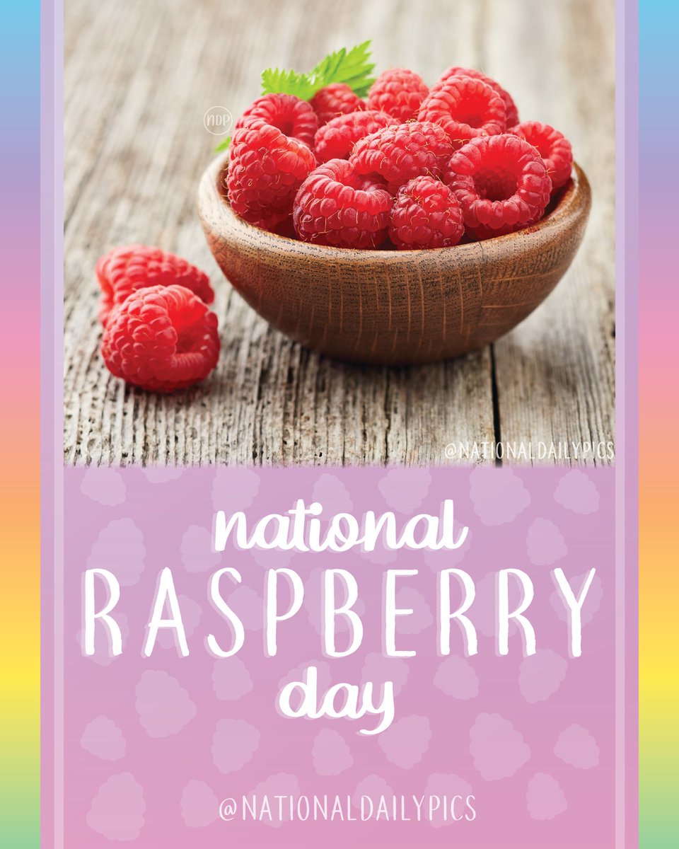 NationalDayPics's tweet image. Happy National Raspberry Day! 💜

Fun Fact: Raspberry cultivation dates back to the 4th century! 

💜💜Follow @NationalDailyPics on instagram for more!💜💜

#NationalRaspberryDay #RaspberryDay #NationalRaspberryDay2024 #RaspberryDay2024 #NationalDailyPics
