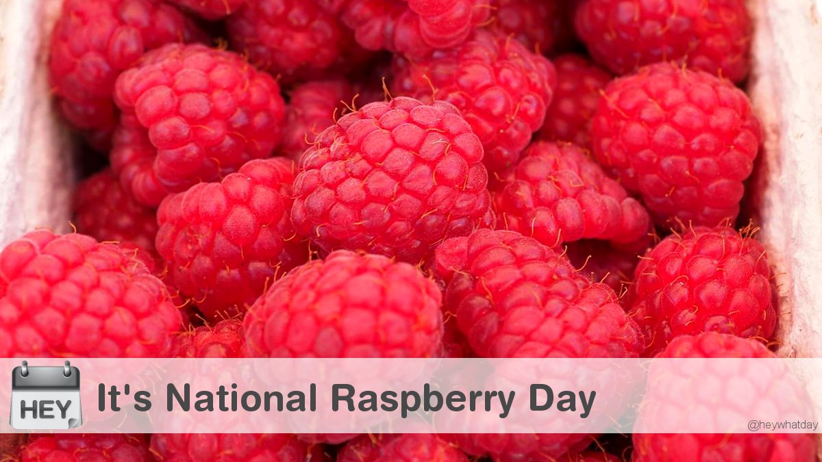 HeyWhatDay's tweet image. It&apos;s National Raspberry Day! 
#NationalRaspberryDay #RaspberryDay #Raspberry
