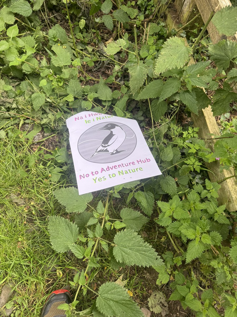 adventure_wales's tweet photo. Very interesting how certain selfish spoilt individuals seem to feel they have a right to stop other people learning and enjoying the Outdoors. 

How littering the countryside and making a lovely village that I happen to live in as well like some sort of protesting capital https://t.co/oumbEi6KSH