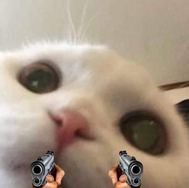 <a href="/AltCryptoGems/">Sjuul | AltCryptoGems</a> <a href="/StoogesOfficial/">Stooges</a> we are live on dex now !! join the community CA Eui9k1YgrvEK8Mbnv7c1Js3tMxzaW45QQn4yv91hpump