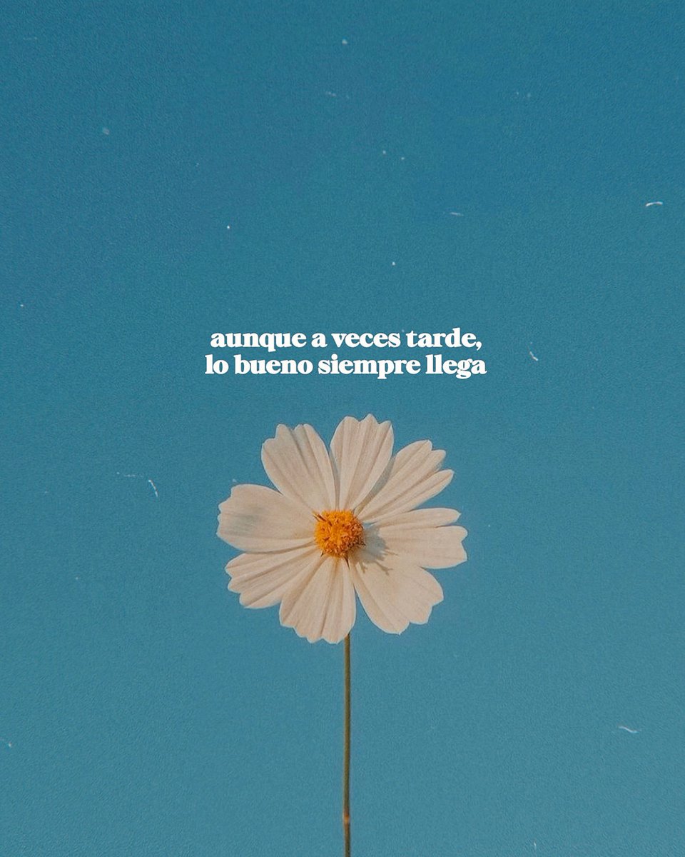 nación (@escritosnacion) on Twitter photo 