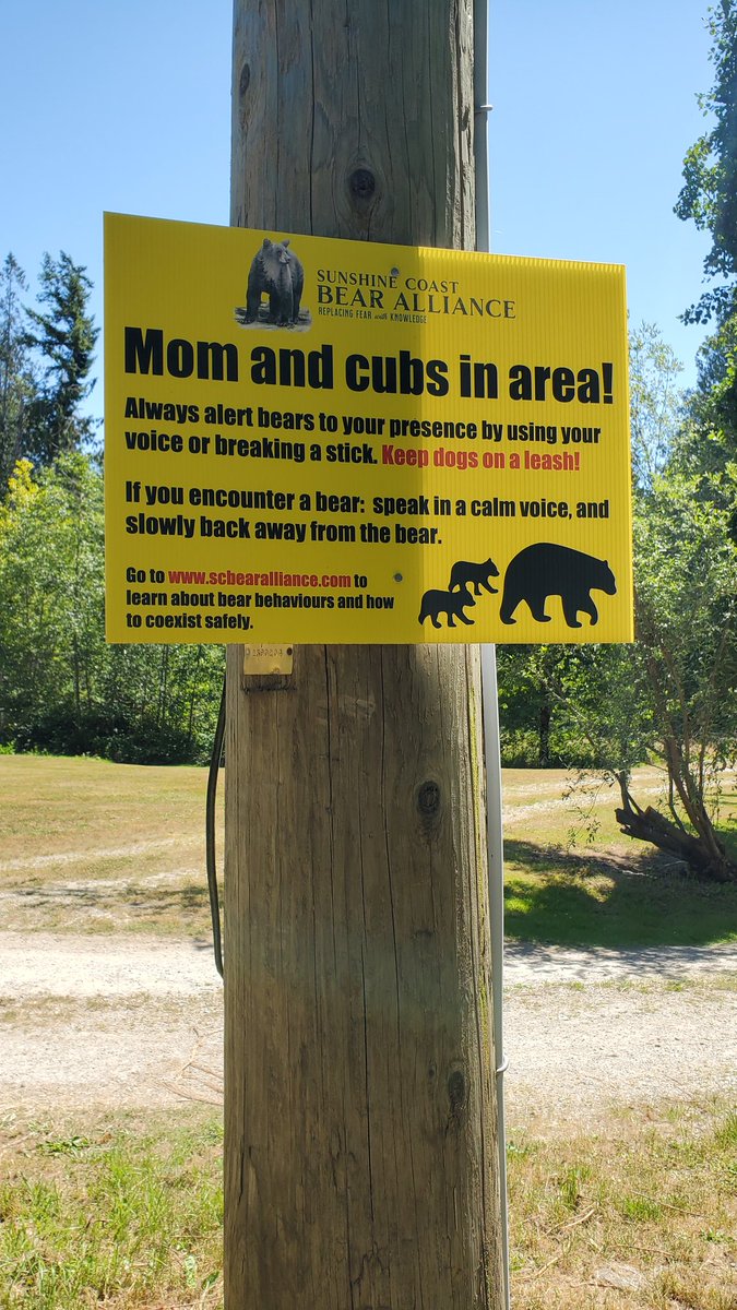 Aaron Bradley (@aaranged) on Twitter photo You see so many seemingly permanent "bear in area" signs around here you tend to ignore them, but these on a trail I use often are quite new. Thought of you <a href="/TheodoraPetkova/">Teodora Petkova</a> & <a href="/JarnoVanDriel/">just Jarno</a>, and that you'd appreciate the helpful advice on the yellow sign. 🐻 You see so many seemingly permanent "bear in area" signs around here you tend to ignore them, but these on a trail I use often are quite new. Thought of you <a href="/TheodoraPetkova/">Teodora Petkova</a> & <a href="/JarnoVanDriel/">just Jarno</a>, and that you'd appreciate the helpful advice on the yellow sign. 🐻