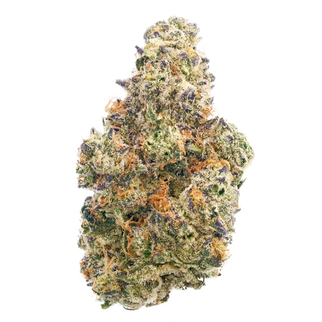 Surterra tweet media