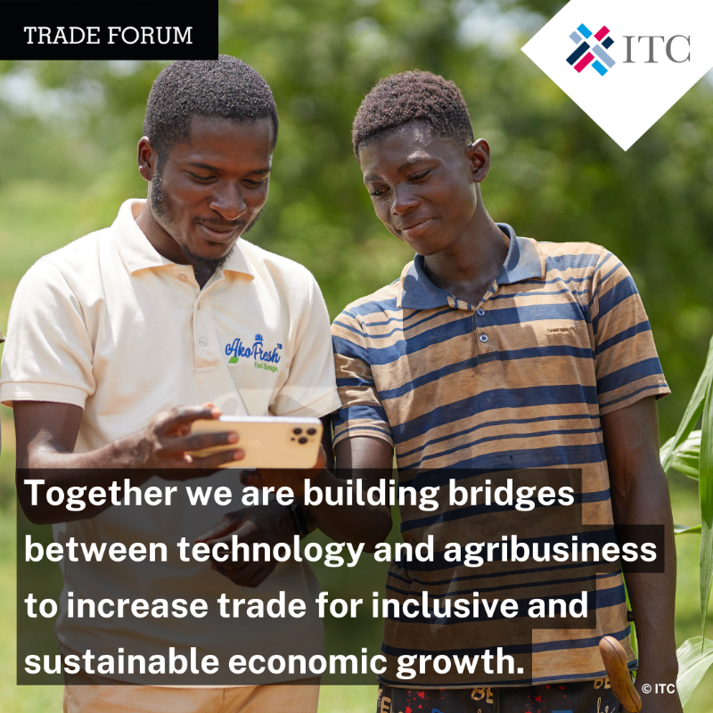 ITCnews's tweet photo. We continue with our #TradeForum Expert Series, this time with a joint ITC - @DutchMFA piece showing our long-standing partnership, making the transition to a sustainable, green, and digital future work for #SmallBusinesses. 

For more details ⬇️