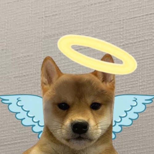 AWIFsol's tweet photo. @shahh Not if you go to heaven $AWIF

https://t.co/8KBoXF0bsC https://t.co/IbS6s1ZVNt