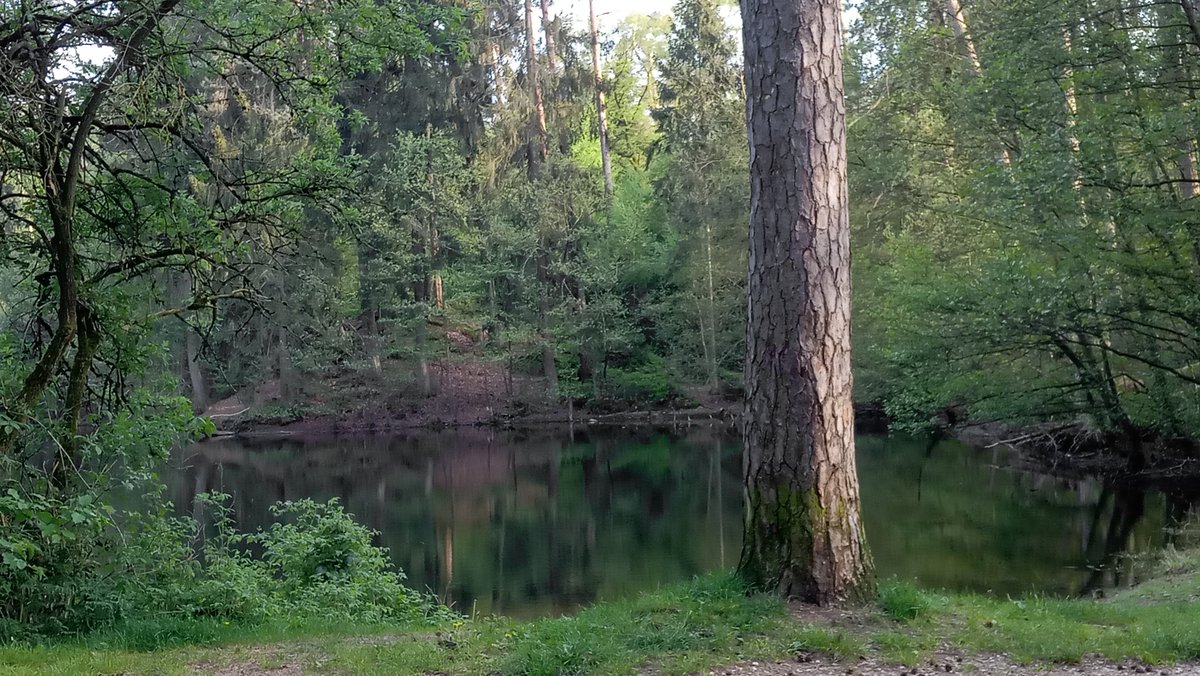 Lippische Landeskirche (@evinlippe) on Twitter photo Abendpilgern auf dem Pivitker Wasserweg! Am Samstag, 3. August, von 18 bis 21 Uhr. Eine mittlere Kondition ist erforderlich. Die Gebühr beträgt sechs Euro. Weitere Infos und Anmeldung (bis eine Woche vorher) unter 05231/976-742 oder pilgern@lippische-landeskirche.de. Abendpilgern auf dem Pivitker Wasserweg! Am Samstag, 3. August, von 18 bis 21 Uhr. Eine mittlere Kondition ist erforderlich. Die Gebühr beträgt sechs Euro. Weitere Infos und Anmeldung (bis eine Woche vorher) unter 05231/976-742 oder pilgern@lippische-landeskirche.de.