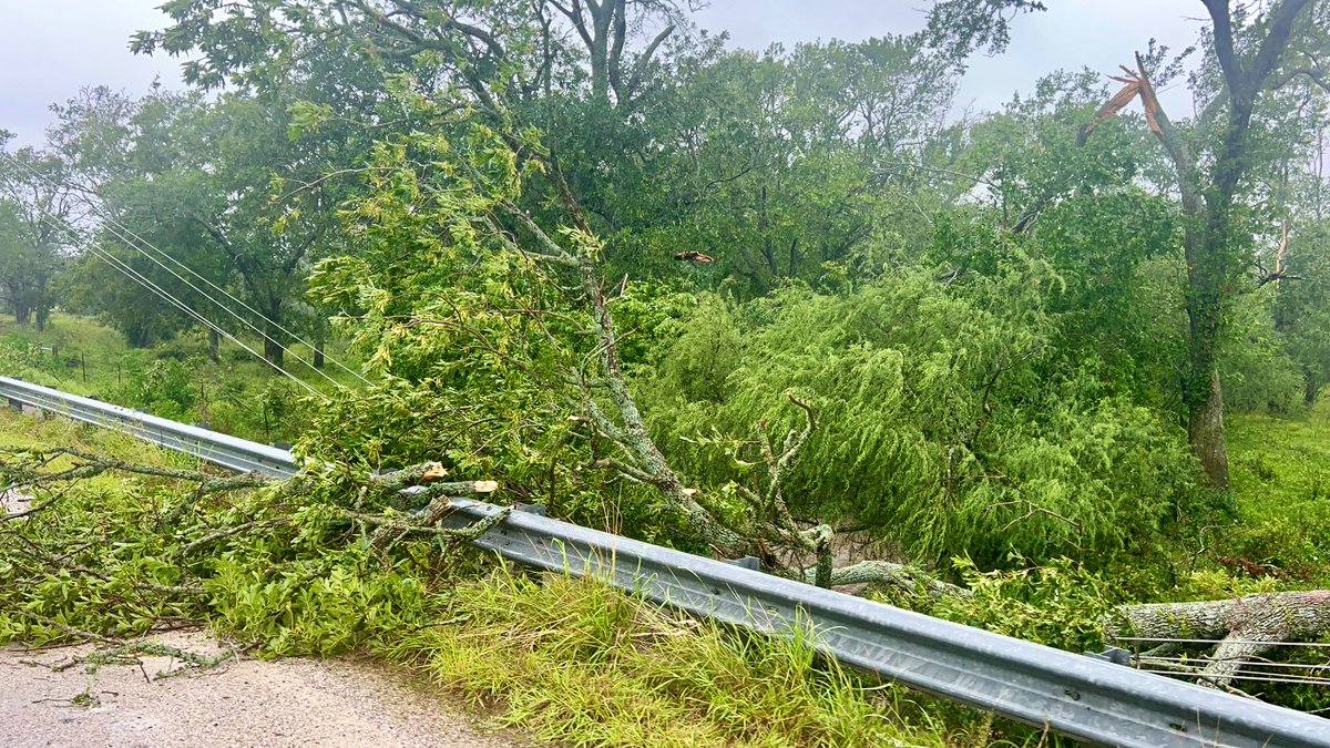 Tree down on power line in Wharton county. 

#HurricaneBeryl