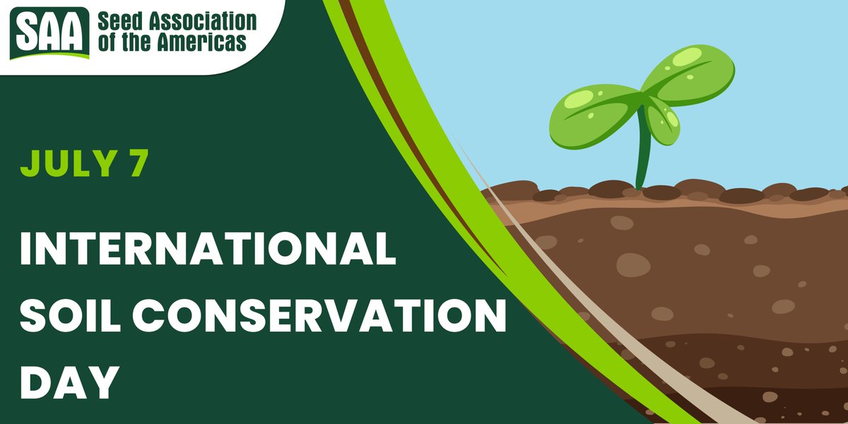 SAA__seed's tweet photo. 🌎Yesterday we celebrated the #InternationalSoilConservationDay.
We all have the responsibility and challenge of preserving our soil in good conditions for the generations to come. 🌱
#SAASeed #Soil #Sustainability #Seeds https://t.co/Olap8CS215