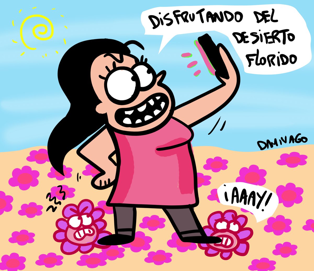 Damivago's tweet photo. Desierto Florido https://t.co/LUcemYxLdp