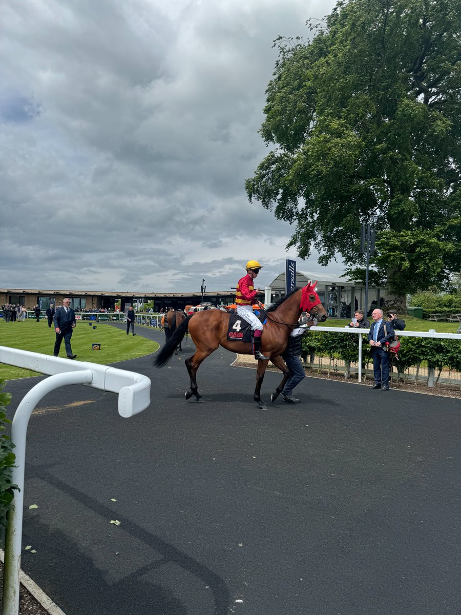 SpectateTravel's tweet photo. Our #Coolmore &amp; #IrishGuineas packages are now on sale! 🏇 Discover the world-class facilities of Coolmore Stud and Kildangan Stud, enjoy a luxurious stay at Killashee Hotel, and experience thrilling racing at The Curragh. Secure your spot: https://t.co/Hf9wtZB2os https://t.co/nZq5iJSc6j