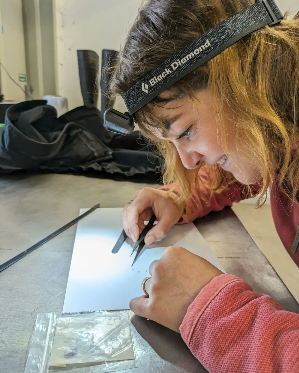 RBGE Scottish Plants tweet media