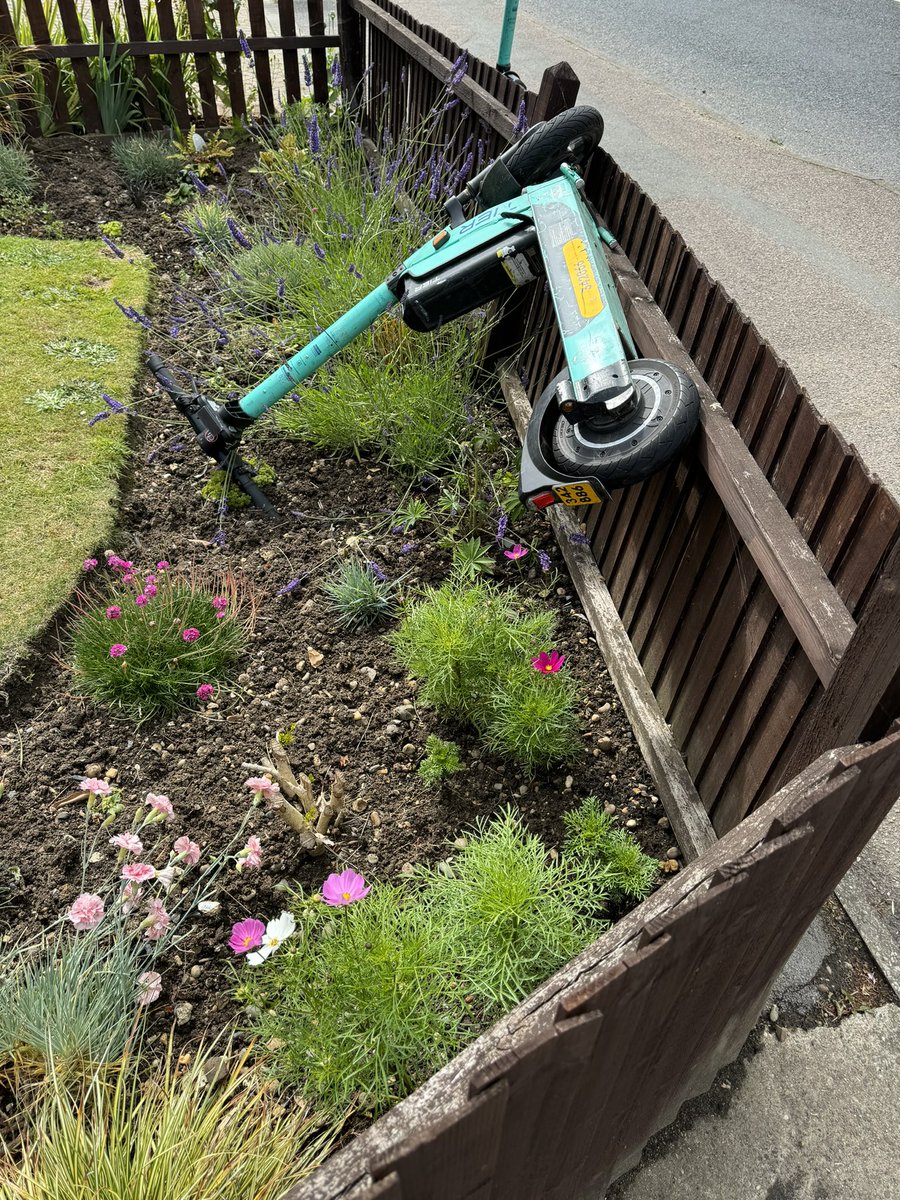 kevinthebig's tweet photo. @tier_mobility this has been reported 3 times in the last 24 hours and hasn’t been removed or any contact with regards to the damage caused to the fence on private property. Please contact me ASAP so this can be resolved! https://t.co/IjZwRW4Ojo