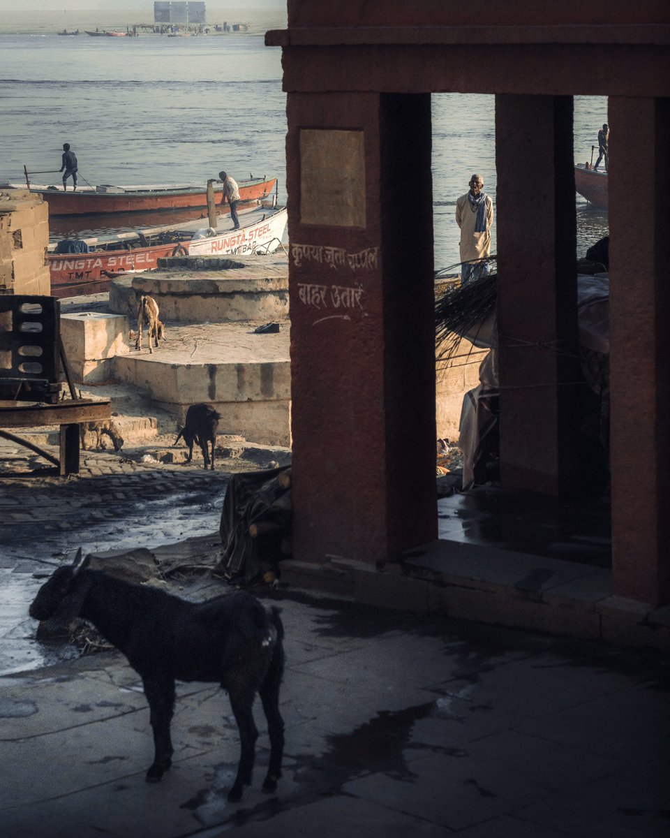 Billy Dinh tweet media