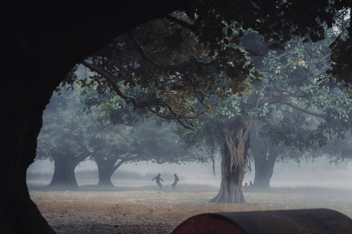 Billy Dinh tweet media