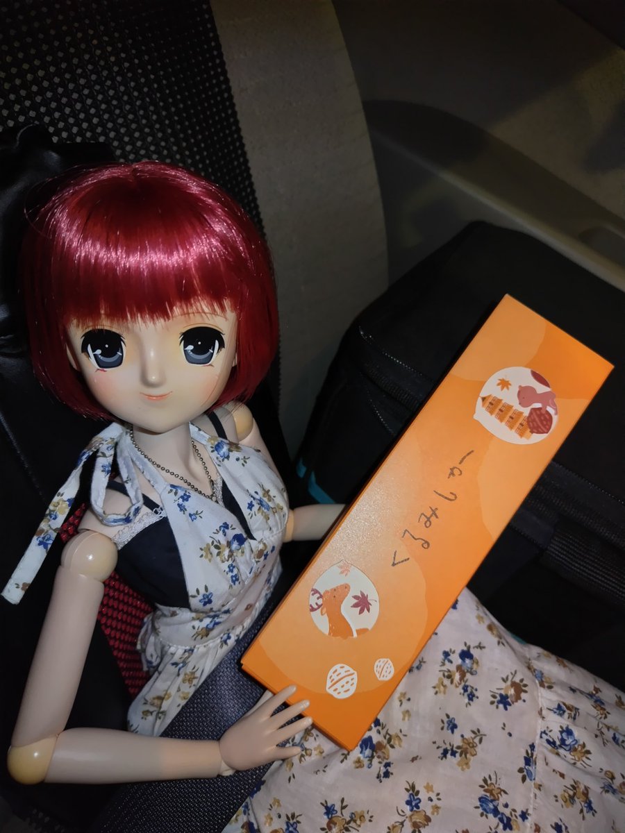LienB14's tweet photo. 香芝SA着いたー！
ここまで二時間なのね～

そして今何か流行ってるシカのお菓子ゲット！
くるみっ子に良くにた感じで食べるの楽しみ🎵 https://t.co/hVfxKkNAHY
