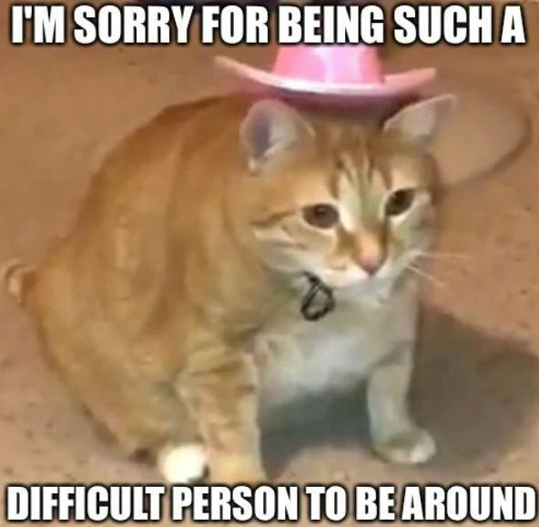 Punch Cat (@punchingcat) on Twitter photo 