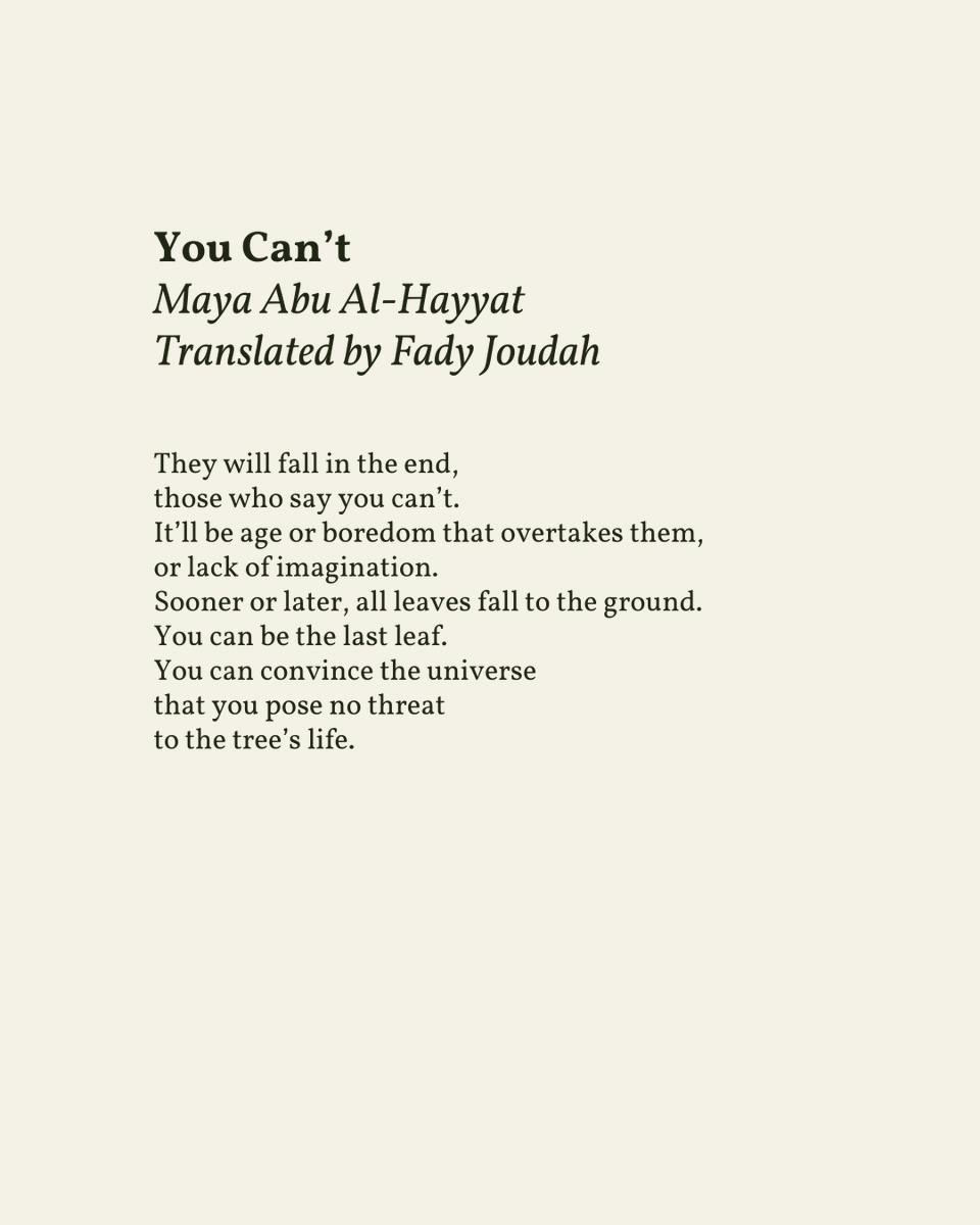 readalittlepoem's tweet photo. “You can convince the universe / that you pose no threat / to the tree’s life. ”

— Maya Abu Al-Hayyat https://t.co/HWQ97Wrn5w