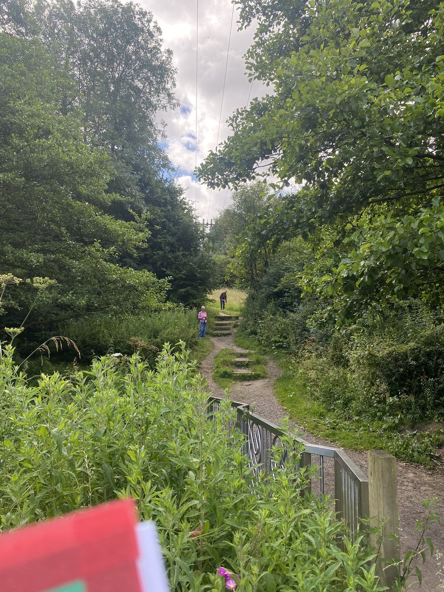 Dylan Bull tweet media