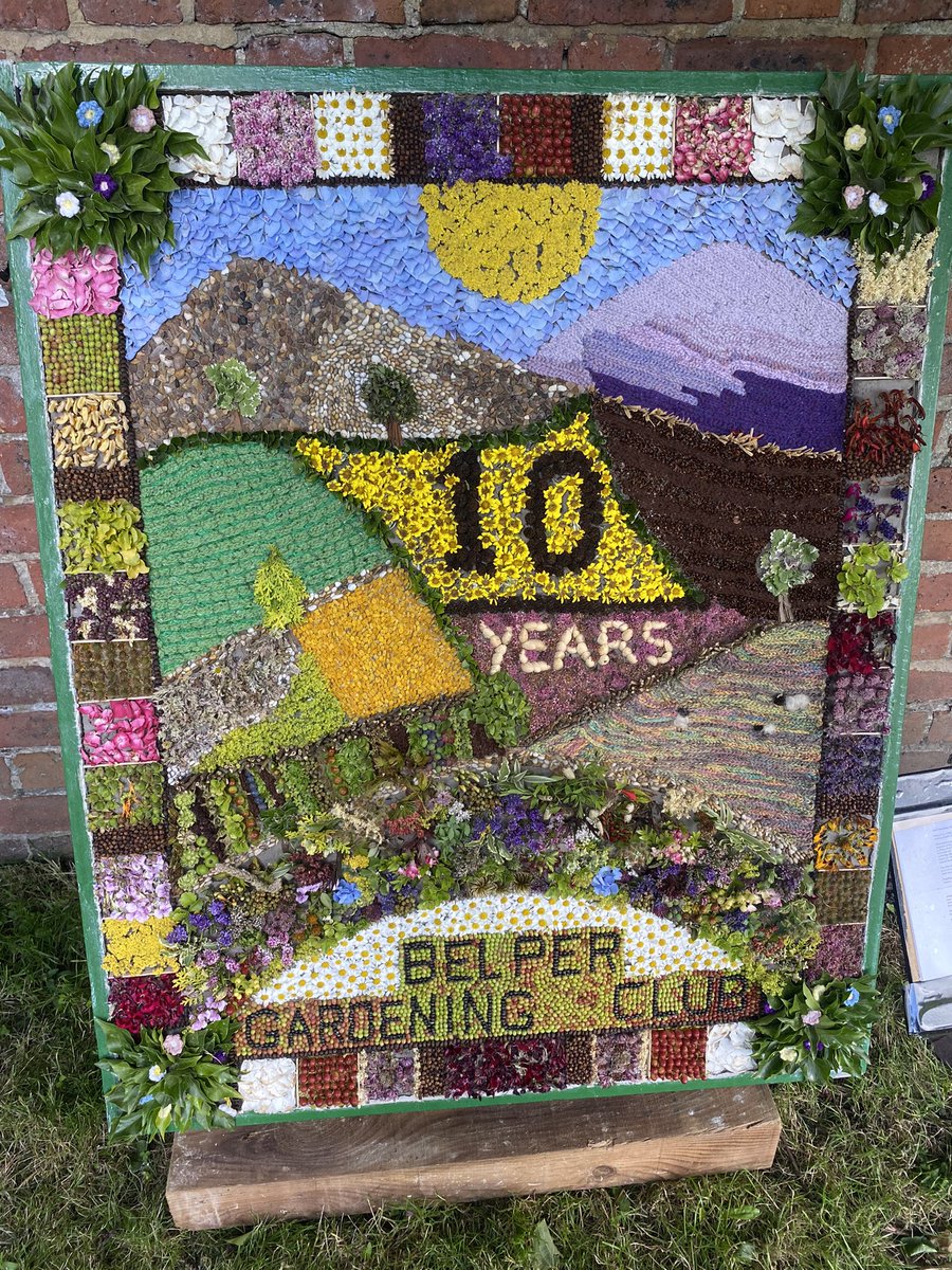 Dylan Bull tweet media