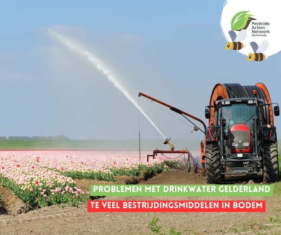 Problemen met drinkwater: Gelderland wil gif uit grond. Er zitten veel te veel pesticiden in de bodem waar drinkwater wordt opgepompt. De provincie Gelderland wijst opnieuw naar de landbouw als grootste boosdoener en verbiedt de teelt van bloembollen

destentor.nl/binnenland/pro…